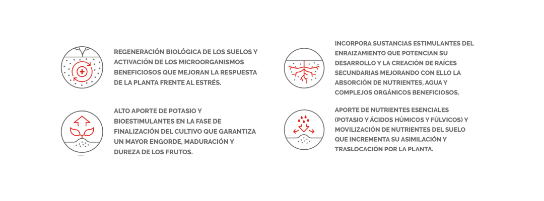 EFISOIL BLACKPOT ICONOS