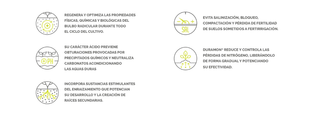 EFISOIL AMINOSHOOT ICONOS