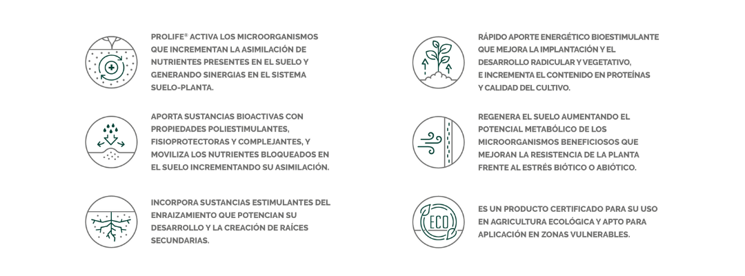 EFISOIL SUPERBIA ICONOS