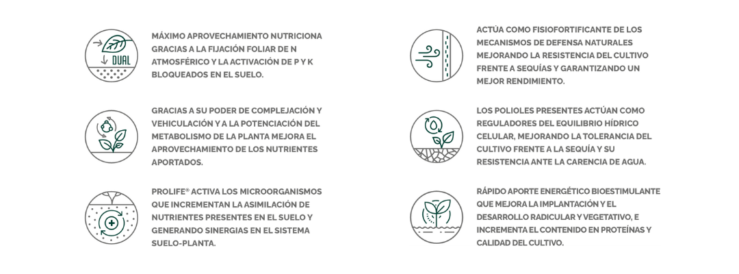 EFISOIL SUPERBIA AZON ICONOS