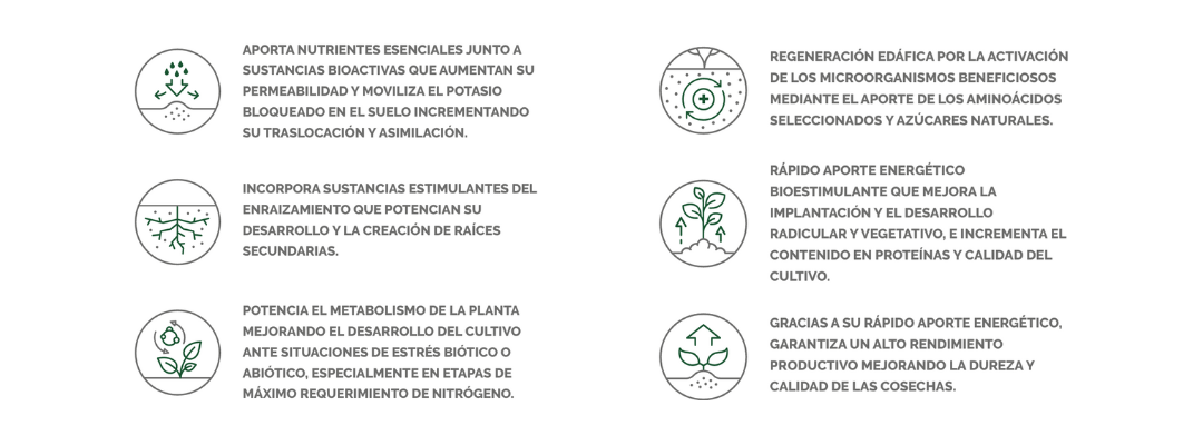 EFISOIL SUPERBIA SUPERWATION ICONOS