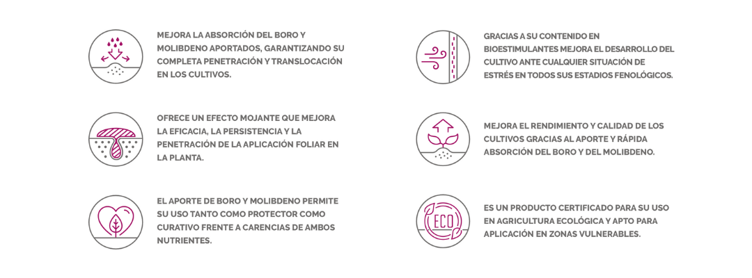 MICROQUEL DURAFRUIT Iconos