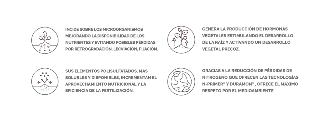 RENOVATION TOTAL ICONOS