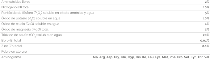 RENOVATION MAXIMA212 CONTENIDO