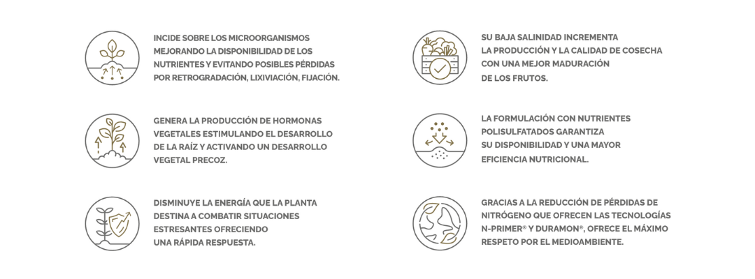 RENOVATION MAXIMA311 ICONOS