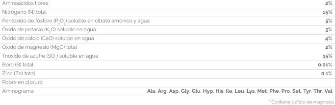 RENOVATION MAXIMA311 CONTENIDO