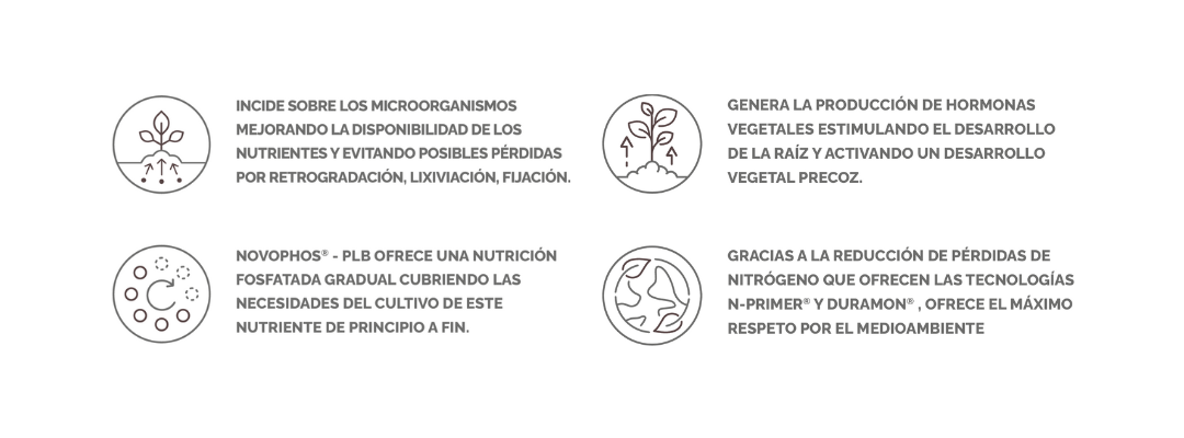 RENOVATION N121 ICONOS