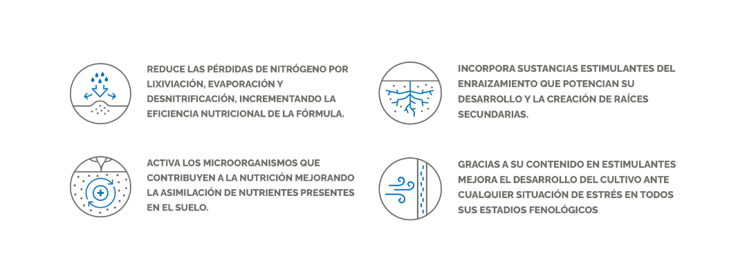 RENOVATION ZN ICONOS