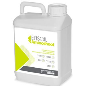 Efisoil Aminoshoot Activador