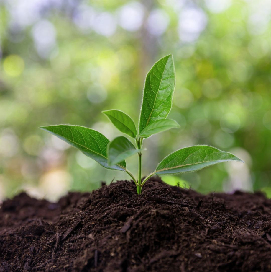 Abonos Convencionales